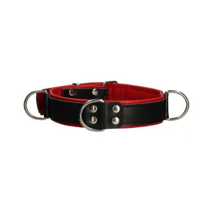 Premium Leather Bondage Collar - Black/red