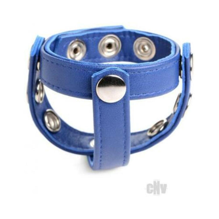 Cg Leather Snap-on Harness Blue