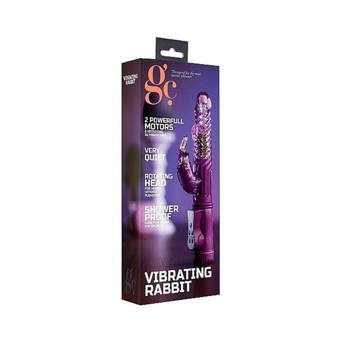 GC Vibrating Rabbit Purple