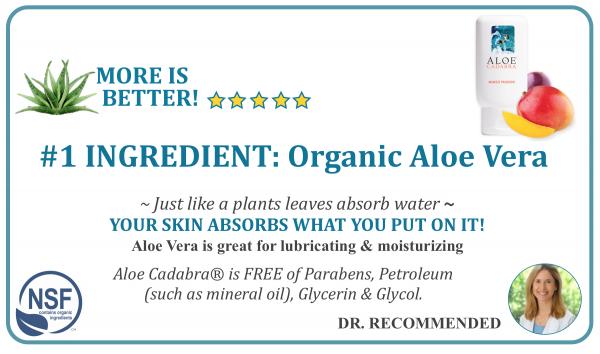 Aloe Cadabra Organic Lubricant - 2.5 Oz Bottle Mango Passion