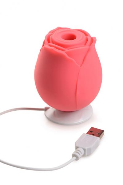 Gossip Rose Crave Pink