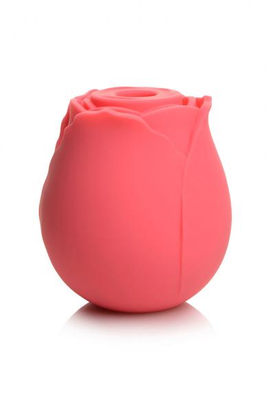 Gossip Rose Crave Pink