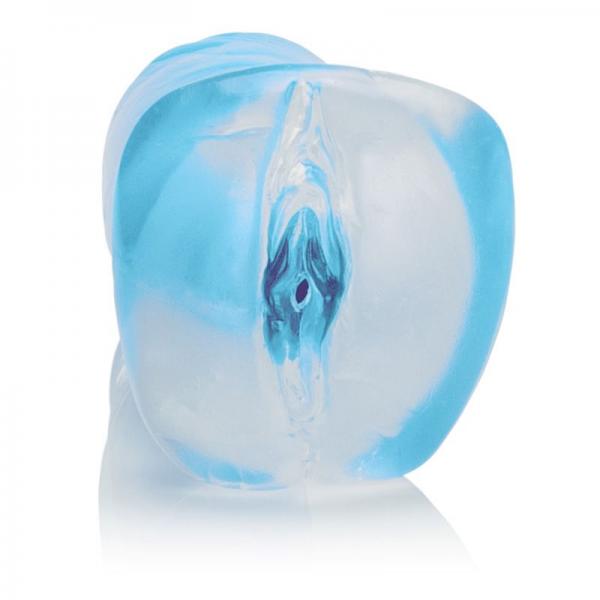 Shane's World College Tease - Blue