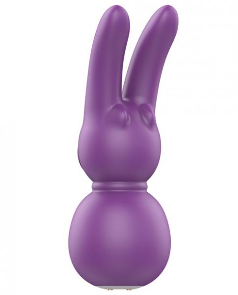 FemmeFunn Stubby 2 Massager Purple