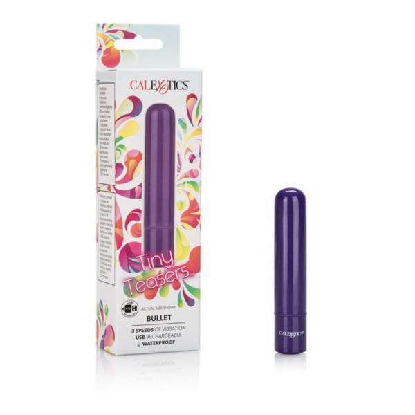 Tiny Teasers Bullet Vibrator Purple