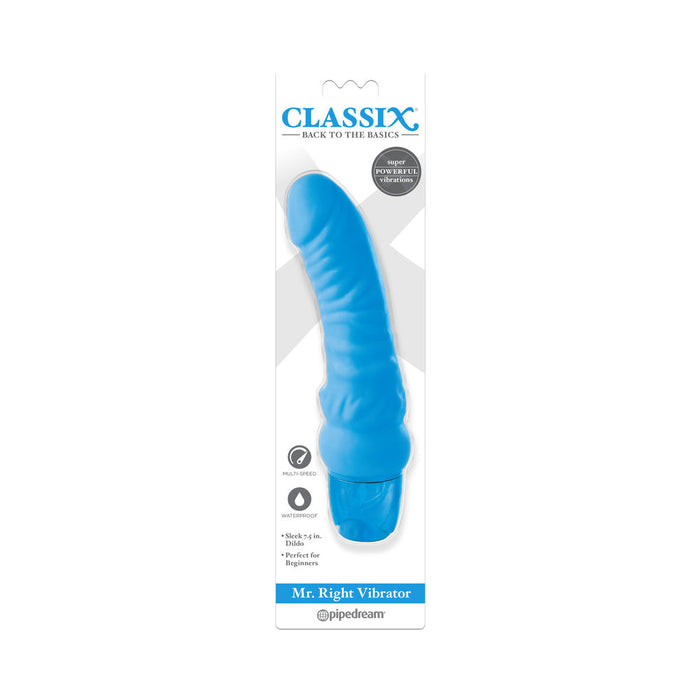 Classix Mr. Right Vibrator