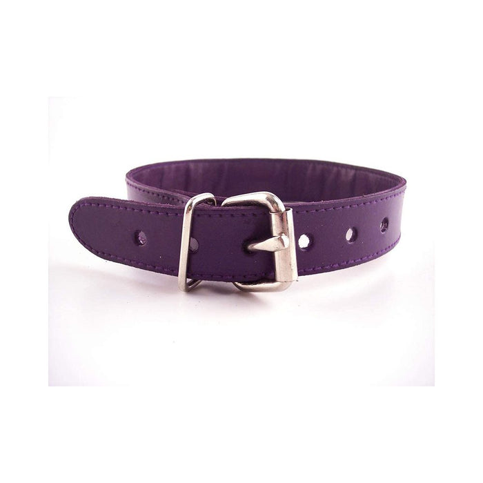 O-Ring Studded Thin Collar - PURPLE