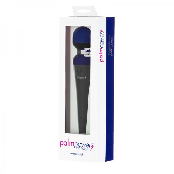 Palmpower Recharge Massager Blue
