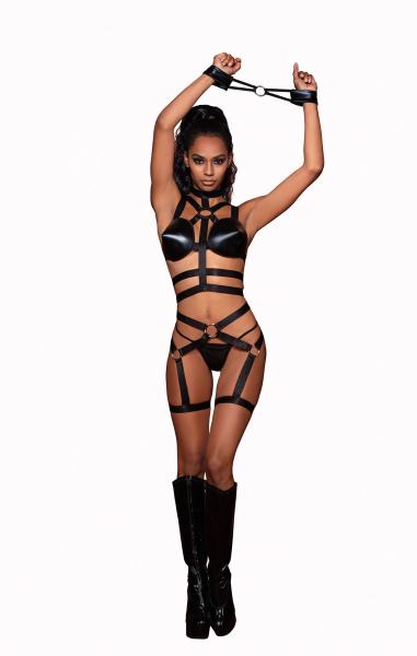 Bra Garter Belt & Restraints Black O/s