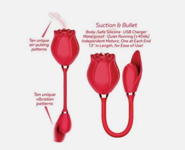 Wild Rose And Bullet