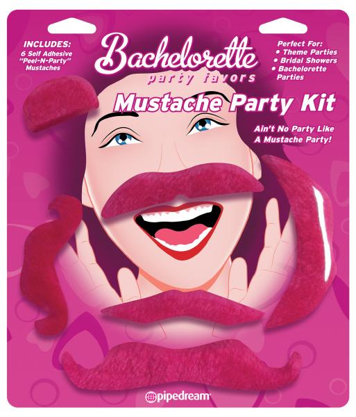 Mustache Party Kit Favors 6 Count Pink