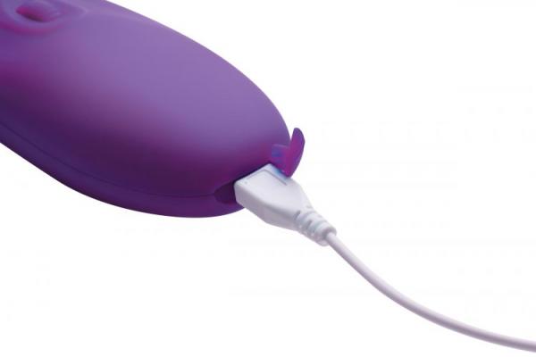 Shegasm Clitoral Stimulator - Purple