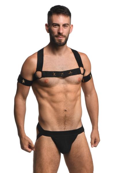 Ms Rave Chest Harness Lxl Blk/gld