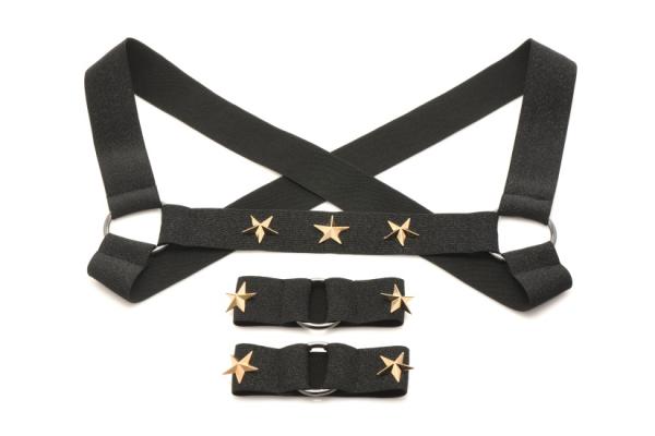 Ms Rave Chest Harness Lxl Blk/gld