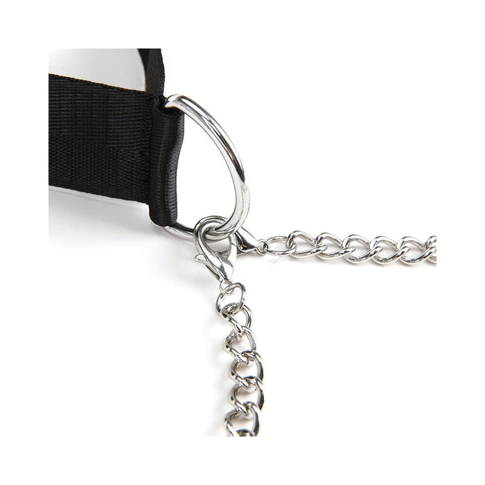 Lux Fetish Collar and Nipple Clips